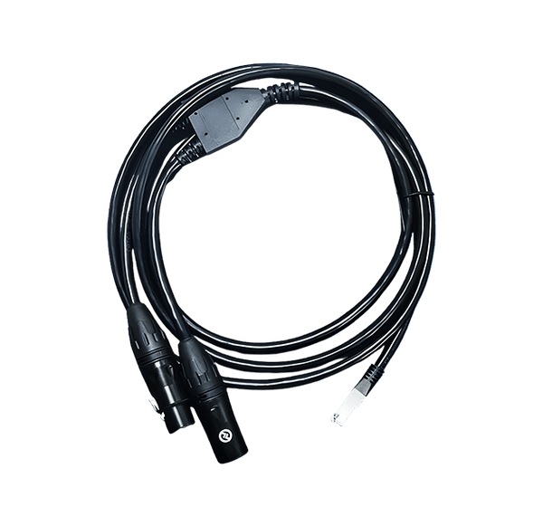 RJ45 to Dual XLR Cable (CA01)