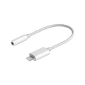 Lightning to 3.5mm Headphone Jack Adapter