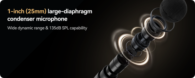 1-inch large-diaphragm condenser microphone