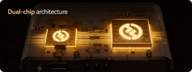 Dual-chip architecture